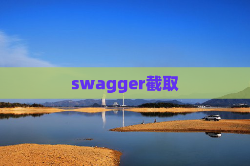 swagger截取